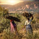 Melhorcoffe_thumbnail_Tanzania