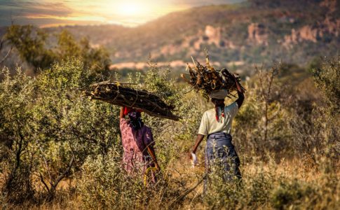 Melhorcoffe_thumbnail_Tanzania