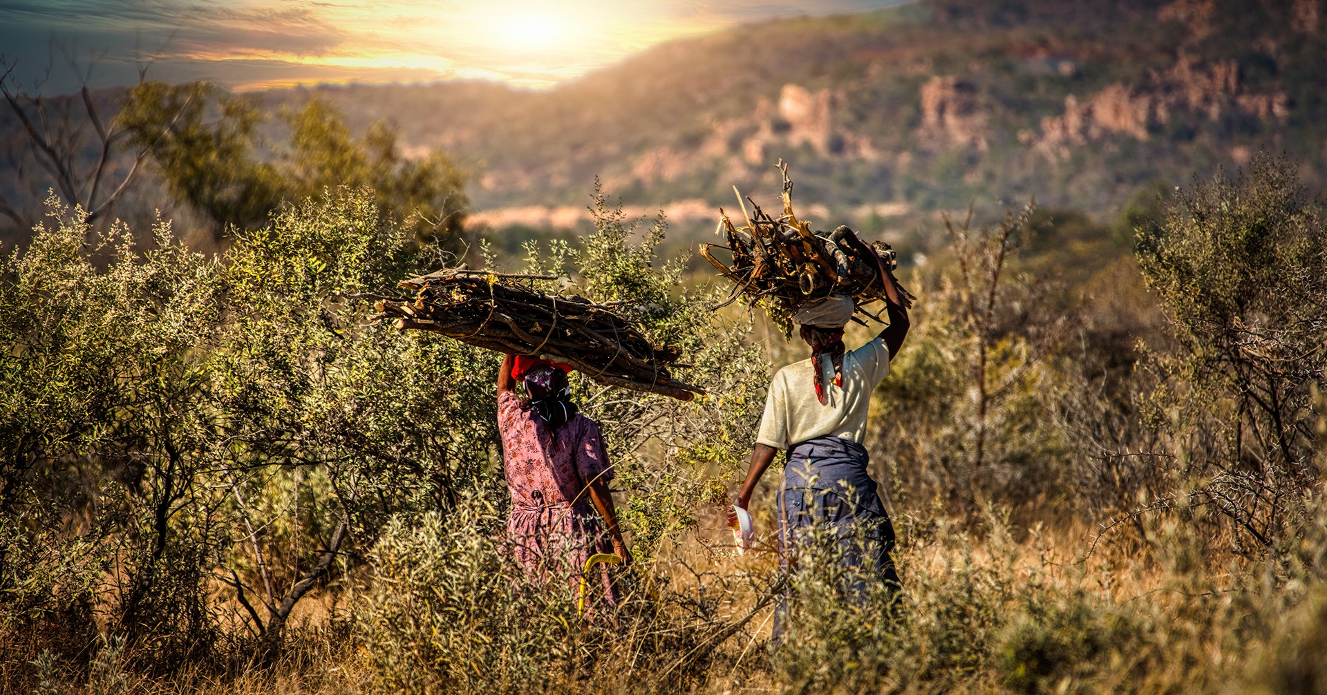 Melhorcoffe_thumbnail_Tanzania